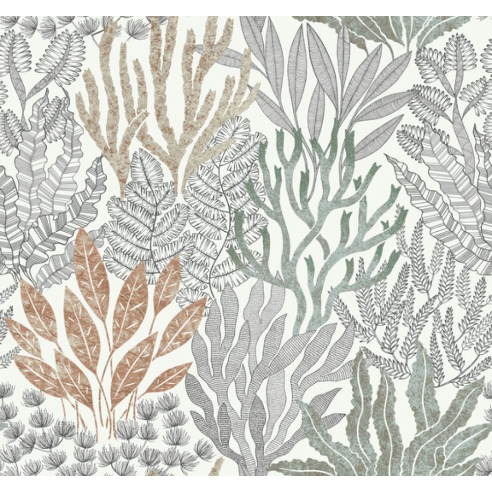 York RT7801 Toile Resource Library Coral Black Coral Leaves Wallpaper