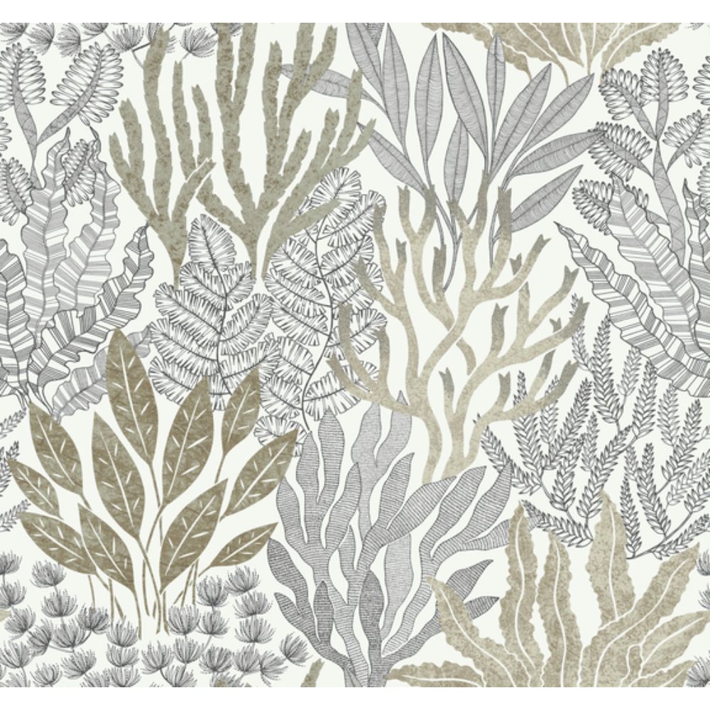 York RT7802 Toile Resource Library Taupe & Black Coral Leaves Wallpaper