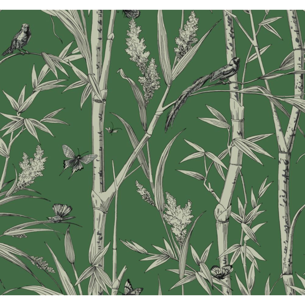 York RT7831 Toile Resource Library Green Bambou Toile Wallpaper