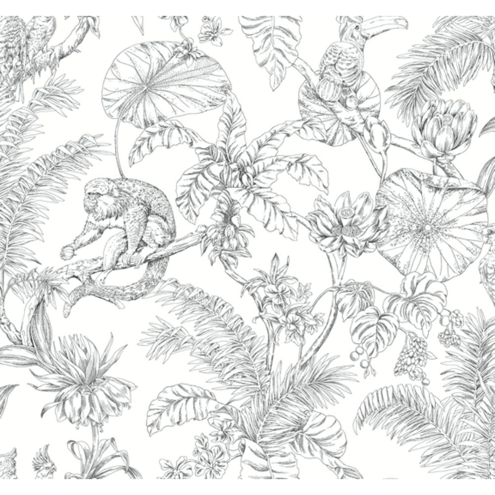 York RT7841 Toile Resource Library Black Tropical Sketch Toile Wallpaper