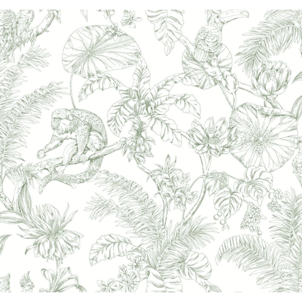 York RT7842 Toile Resource Library Forest Tropical Sketch Toile Wallpaper