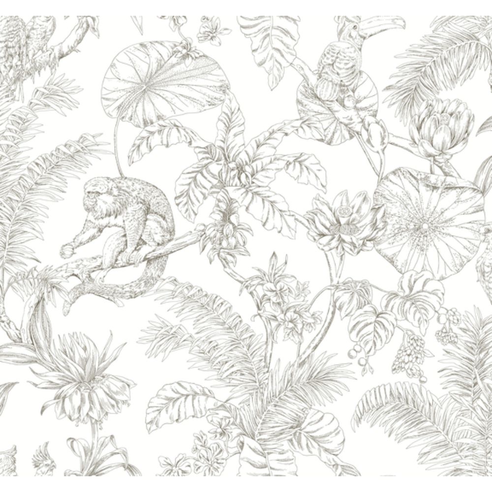 York RT7843 Toile Resource Library Brown Tropical Sketch Toile Wallpaper