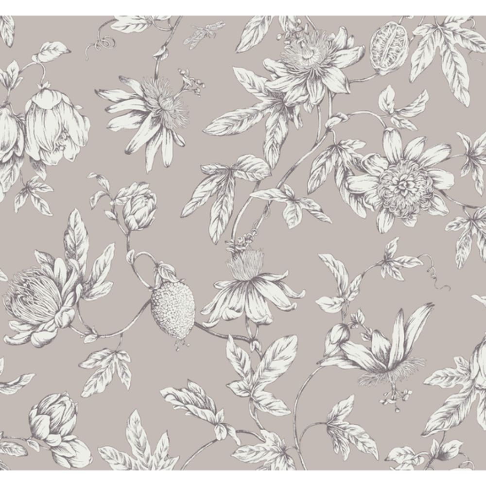 York RT7851 Toile Resource Library Orchid Passion Flower Toile Wallpaper