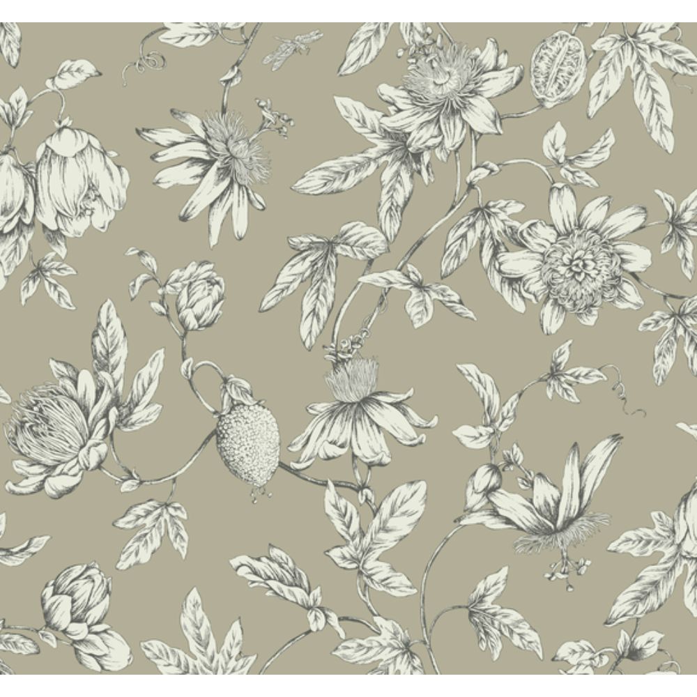 York RT7852 Toile Resource Library Linen Passion Flower Toile Wallpaper