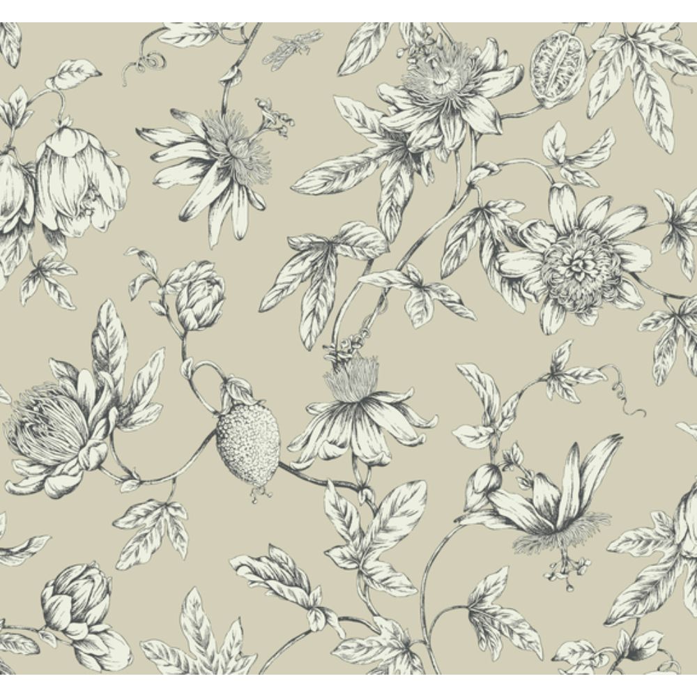York RT7854 Toile Resource Library Beige Passion Flower Toile Wallpaper