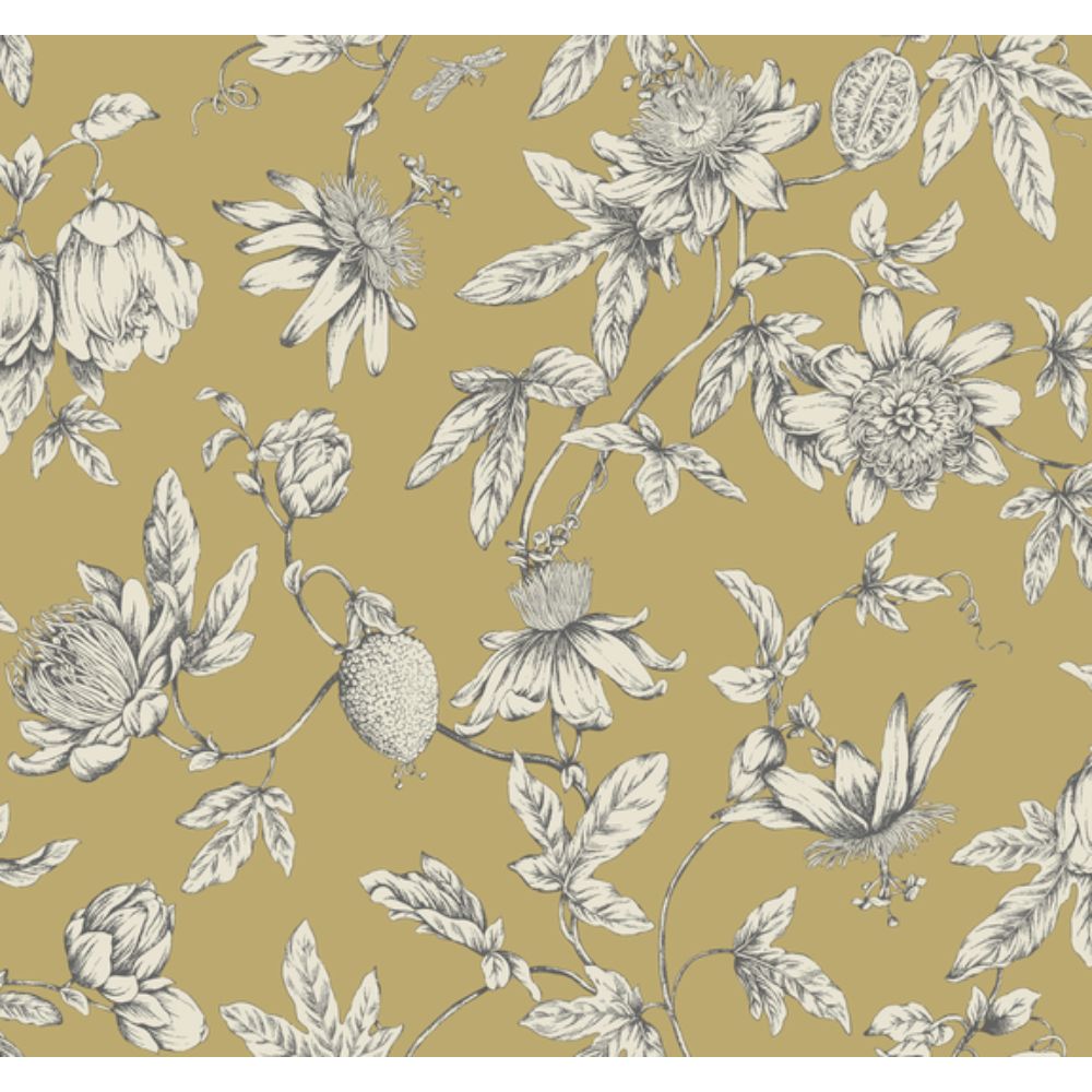 York RT7855 Toile Resource Library Harvest Passion Flower Toile Wallpaper