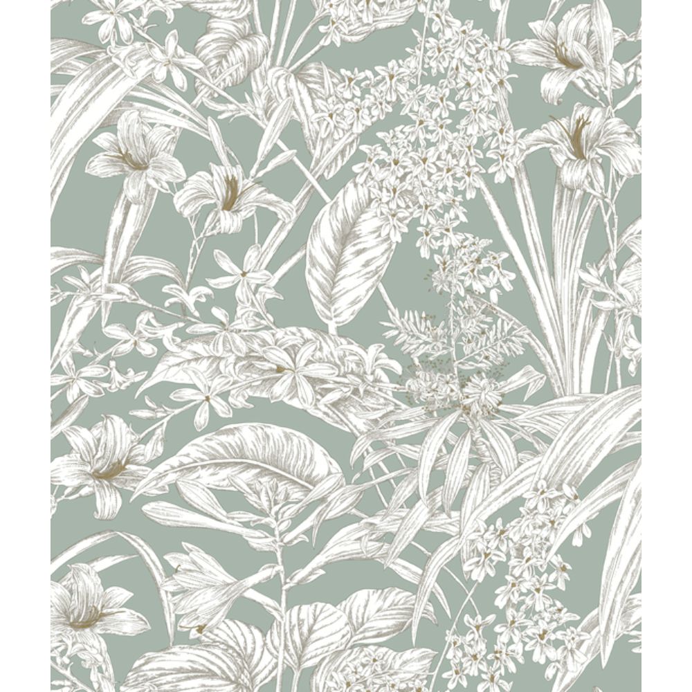 York RT7882 Toile Resource Library Seamist & Taupe Orchid Conservatory Toile Wallpaper