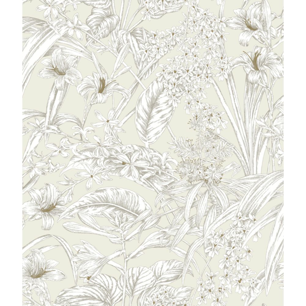 York RT7883 Toile Resource Library Beige & Taupe Orchid Conservatory Toile Wallpaper