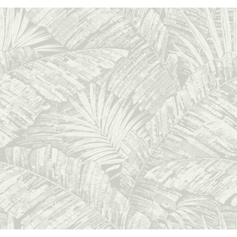 York RT7922 Toile Resource Library White & Grey Palm Cove Toile Wallpaper