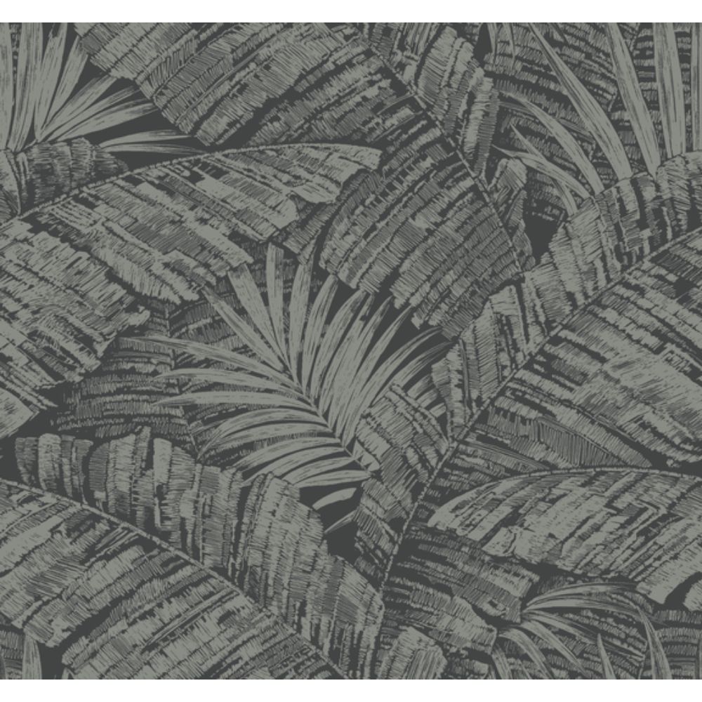 York RT7923 Toile Resource Library Silver & Black Palm Cove Toile Wallpaper