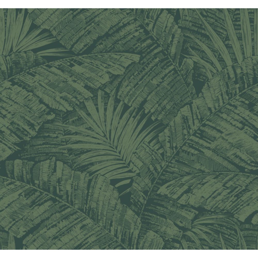 York RT7924 Toile Resource Library Emerald Forest Palm Cove Toile Wallpaper