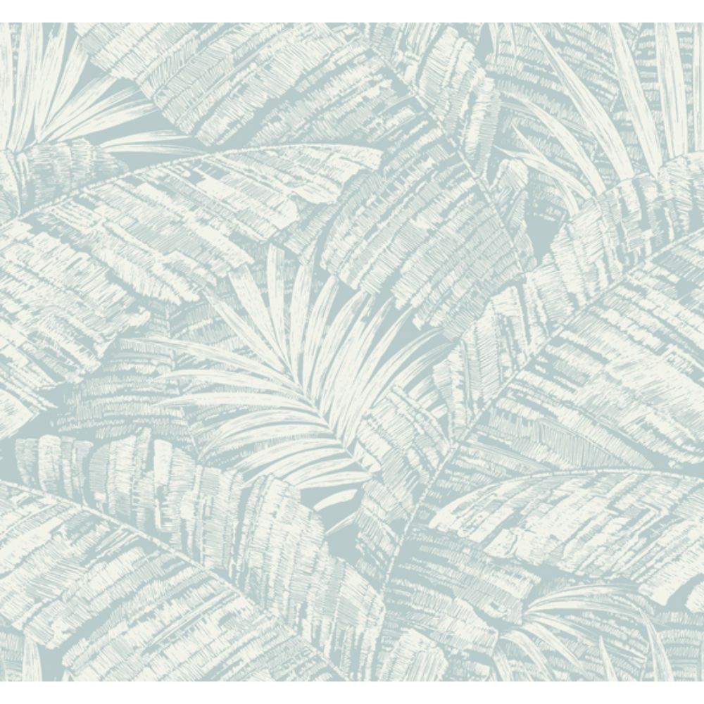 York RT7925 Toile Resource Library White & Blue Palm Cove Toile Wallpaper