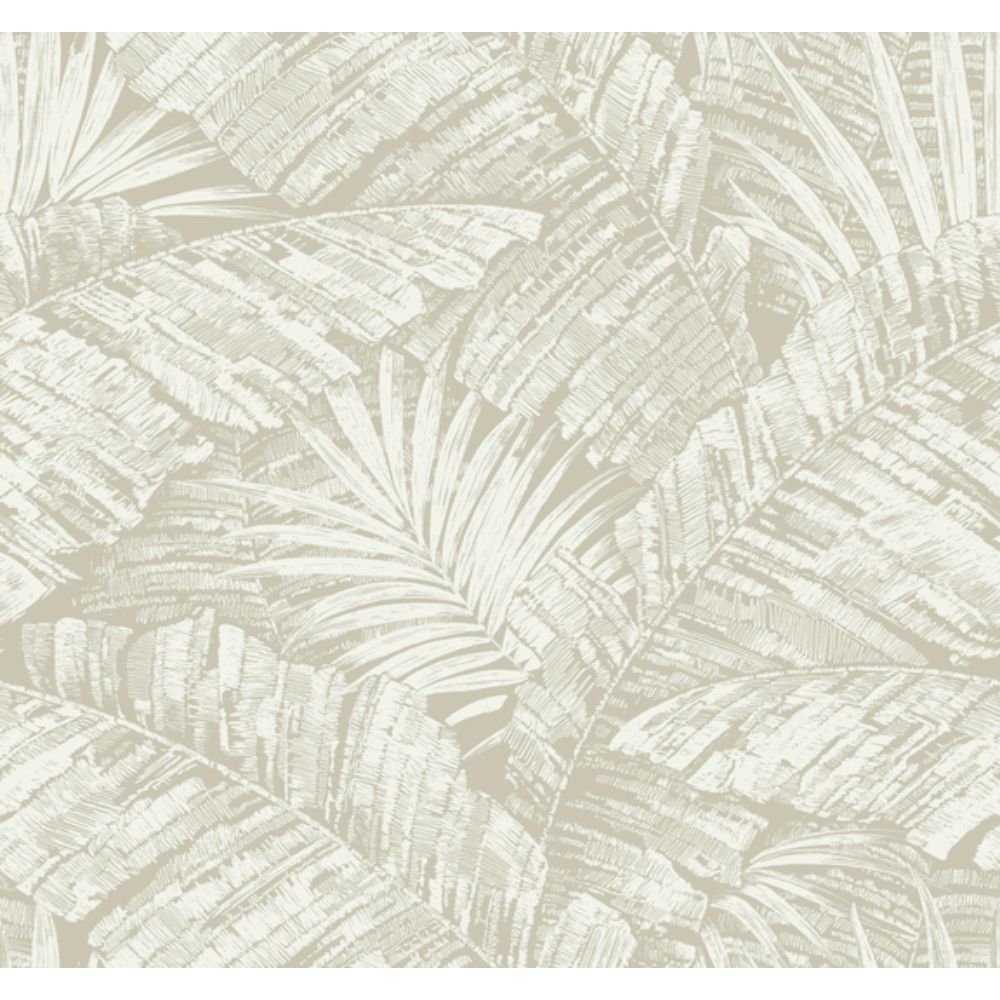 York RT7926 Toile Resource Library White & Taupe Palm Cove Toile Wallpaper