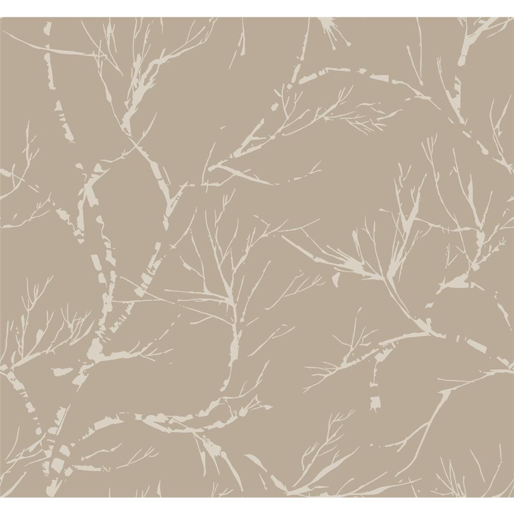 Ronald Redding by York SD3773 Masterworks White Pine Wallpaper - Light Brown