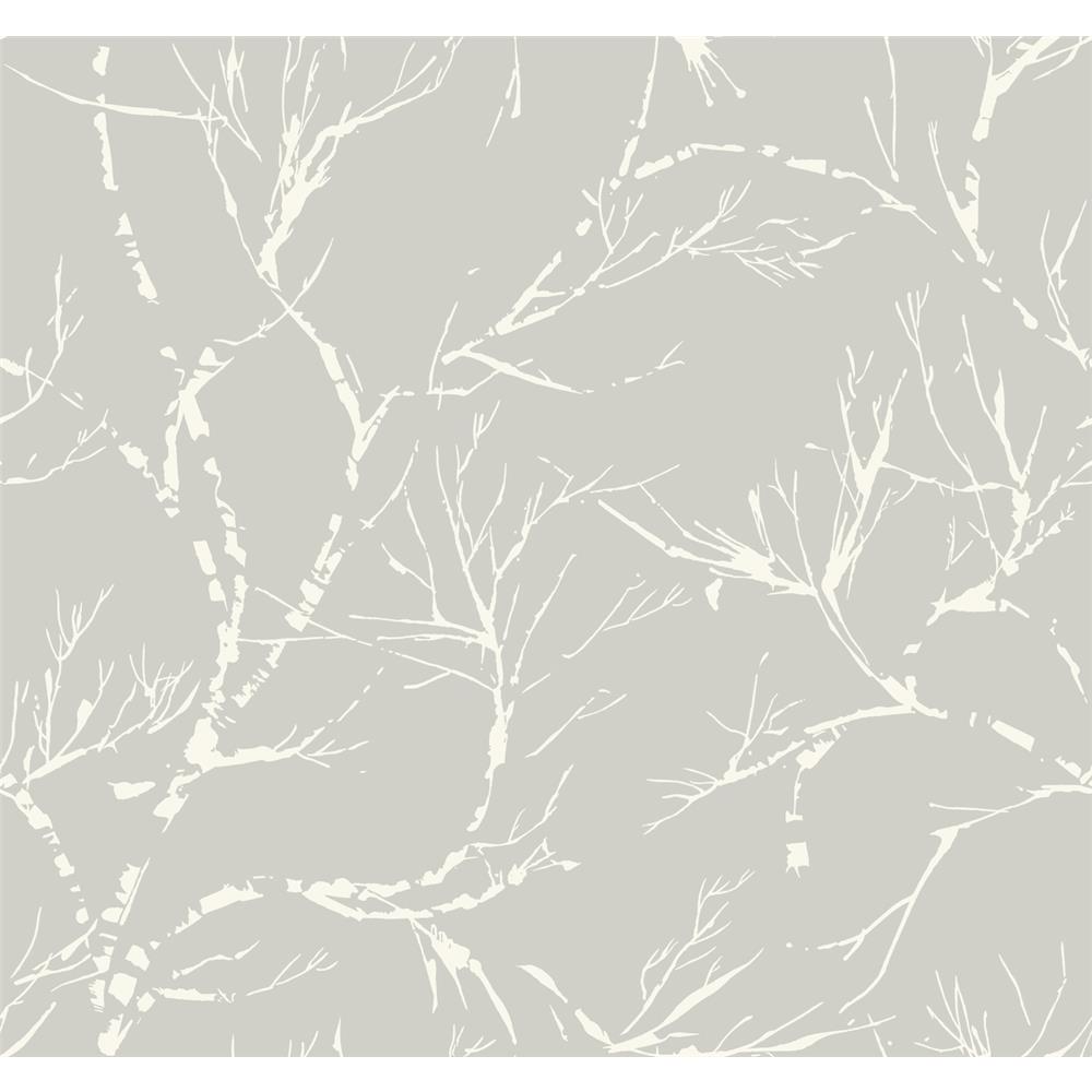 Ronald Redding by York SD3774 Masterworks White Pine Wallpaper - Gray