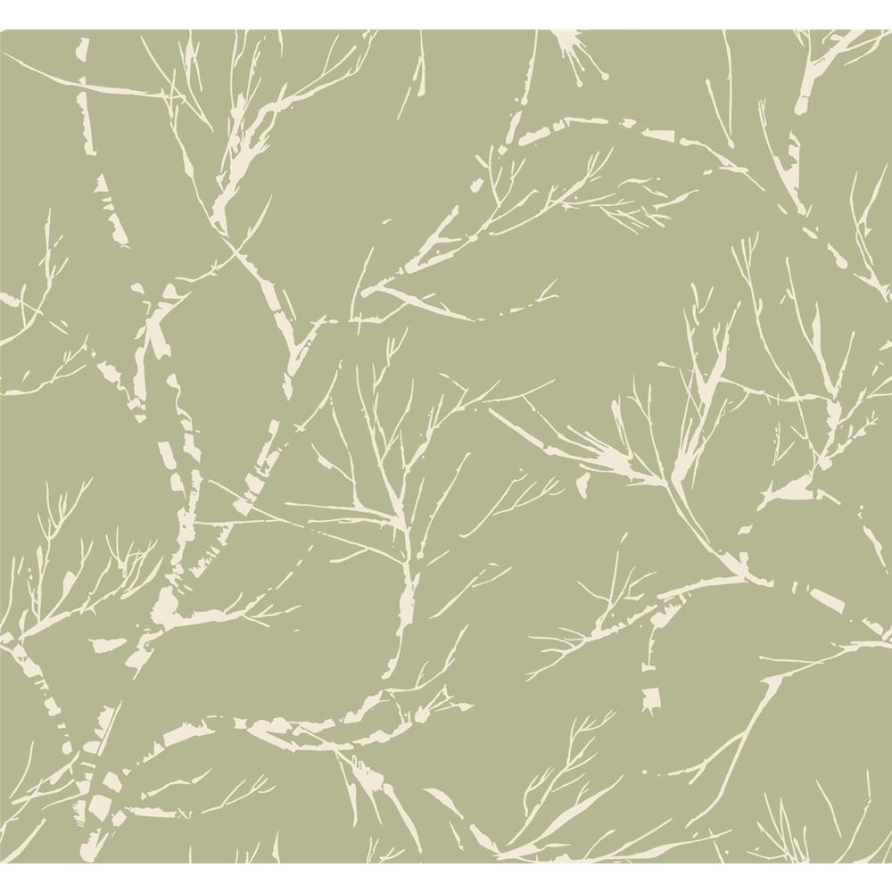 Ronald Redding by York SD3776 Masterworks White Pine Wallpaper - Green