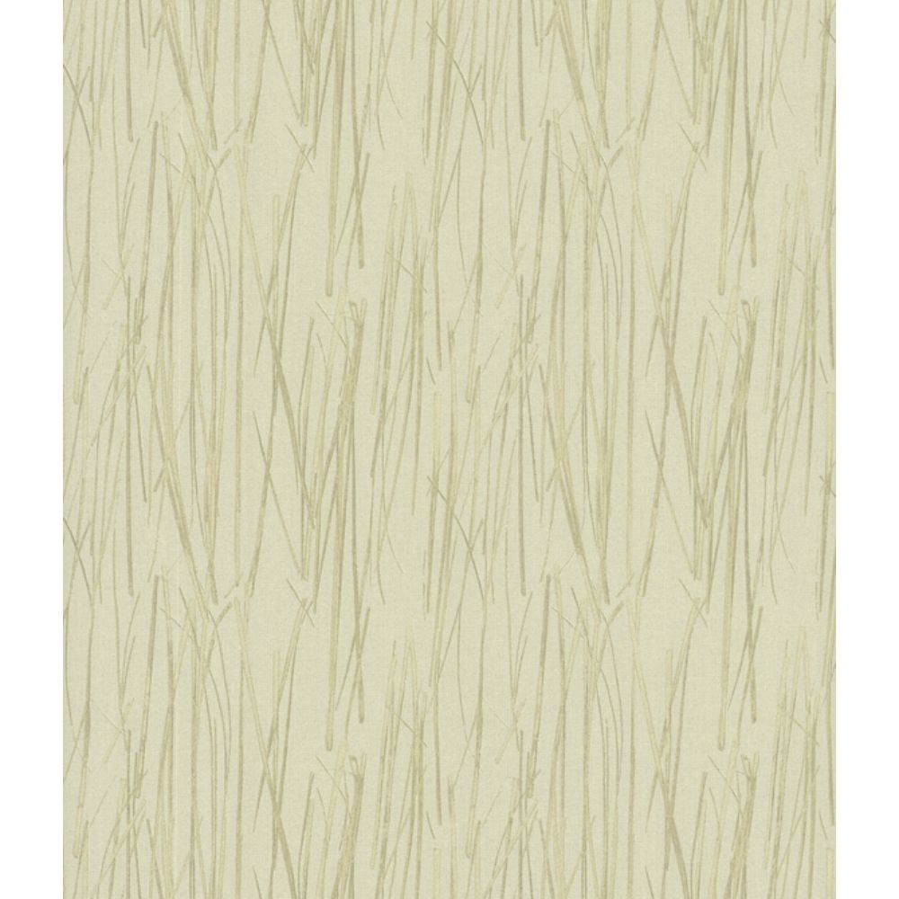 York SI20713 Signature Textures 2nd Edition Piedmont Bamboo Wallpaper