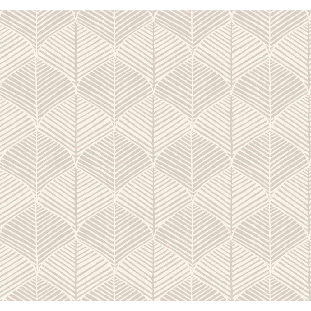 York SS2567 Silhouettes Palm Thatch Wallpaper in Gray