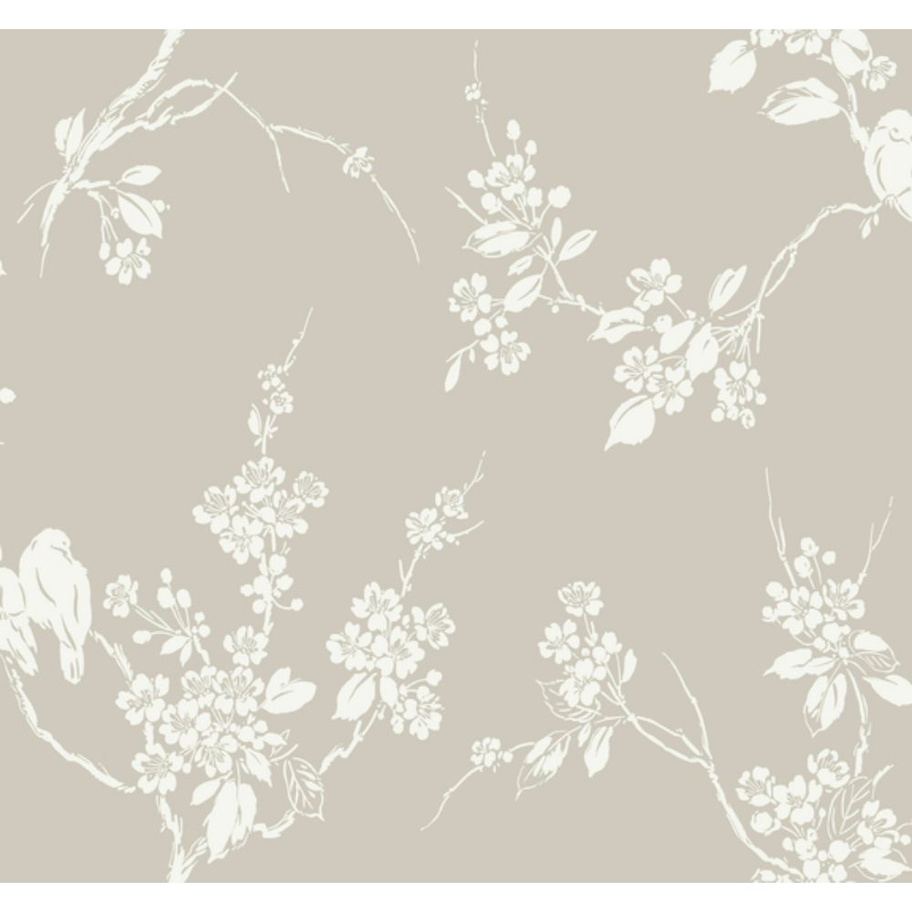 York SS2591 Silhouettes Imperial Blossoms Branch Wallpaper in Taupe