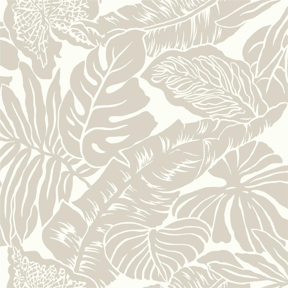 Inspired by Color by York Wallcoverings SW7430 Simply Neutrals Valdivian Wallpaper