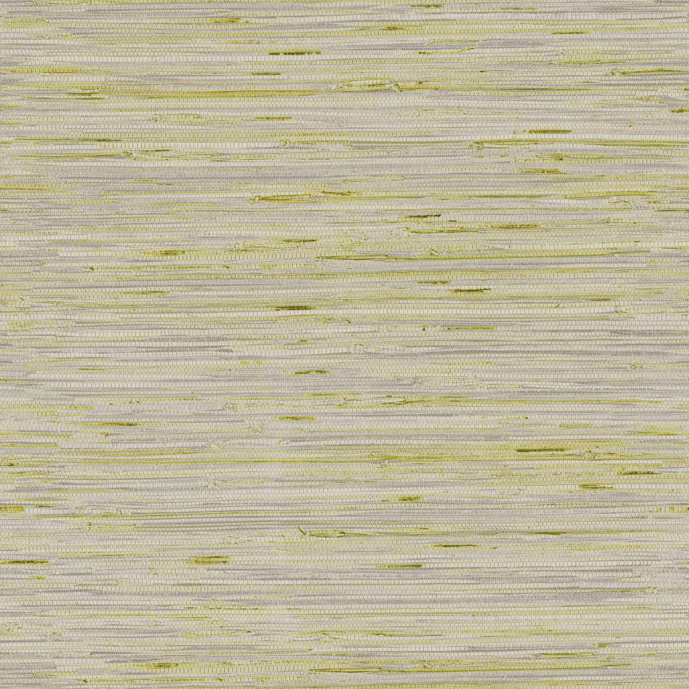 York Designer Series Y6201605 Dazzling Dimensions Lustrous Grasscloth Grey Gray Citron Putty Silver Lime