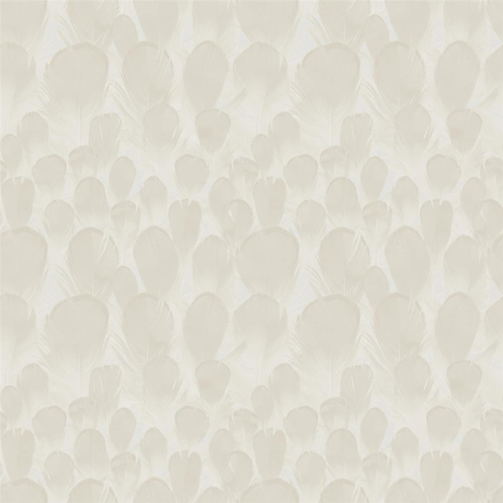 York Wallcoverings Y6230102 Natural Opalescence Feathers Wallpaper